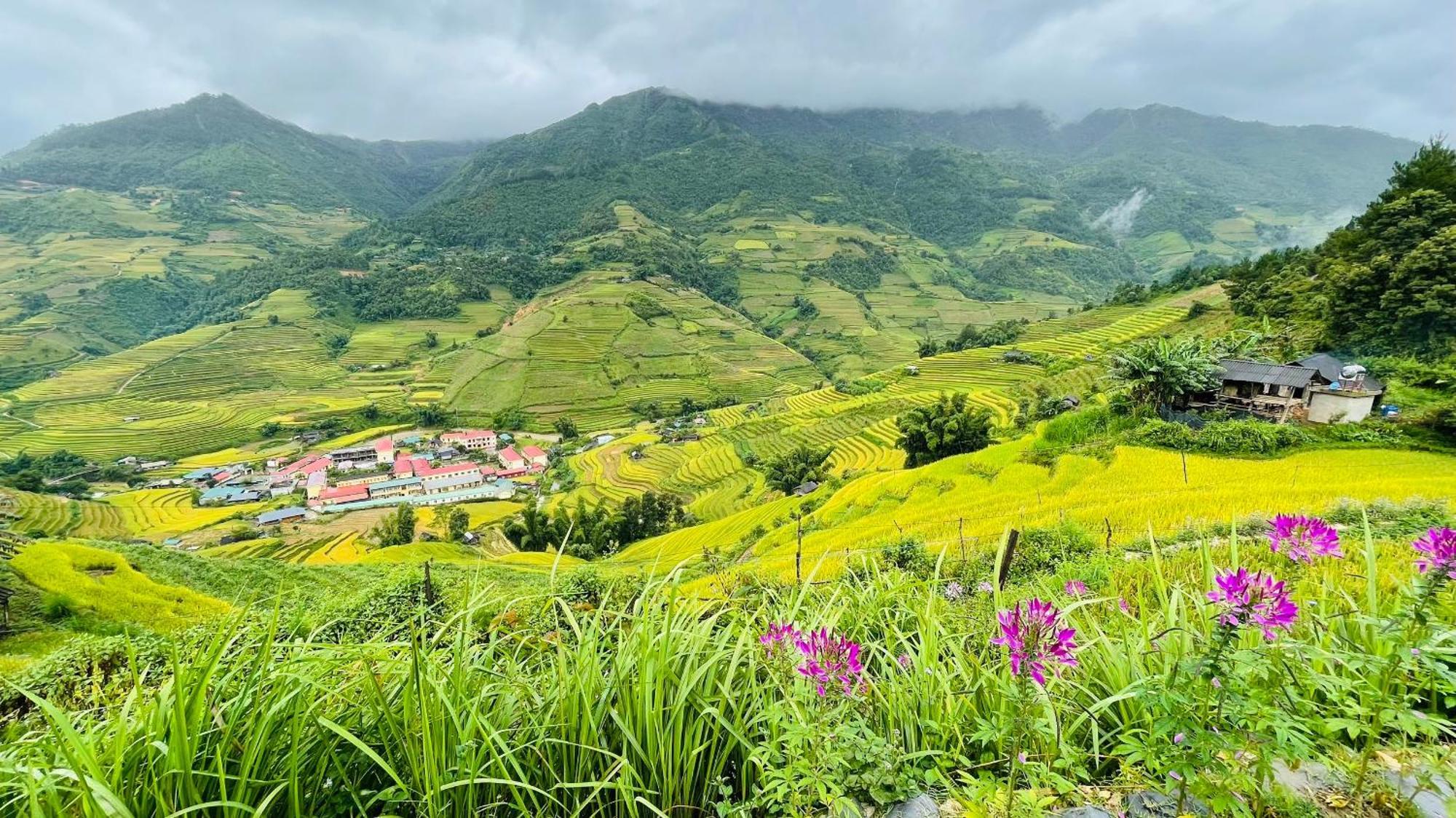Mu Cang Chai Big View Homestay, Tour & Vegetarian 外观 照片